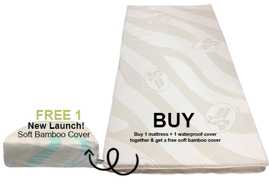 Combo - Mattress + Extra Cover