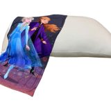 Hughug Pillow & Frozen Set