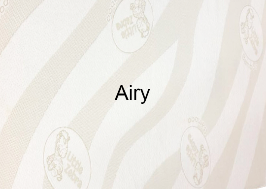 Soft Bamboo Pillow Case (Airy)