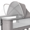Bedside Crib with Little Zebra